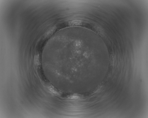 X0000079310224200612011824