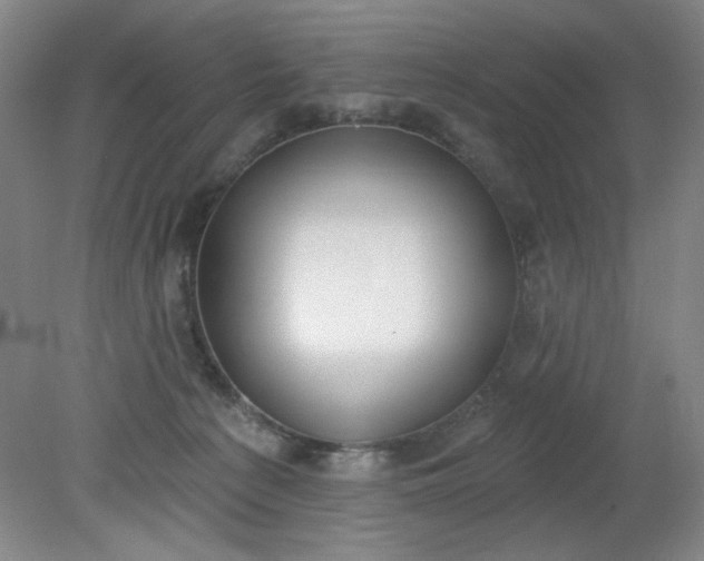 X0000079310225200612011824