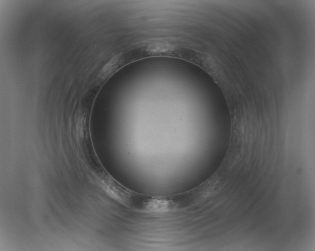 X0000079310227200612011824