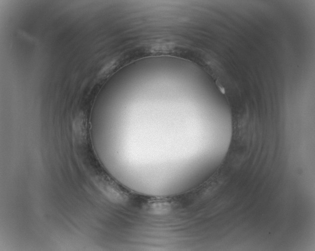X0000079310228200612011824