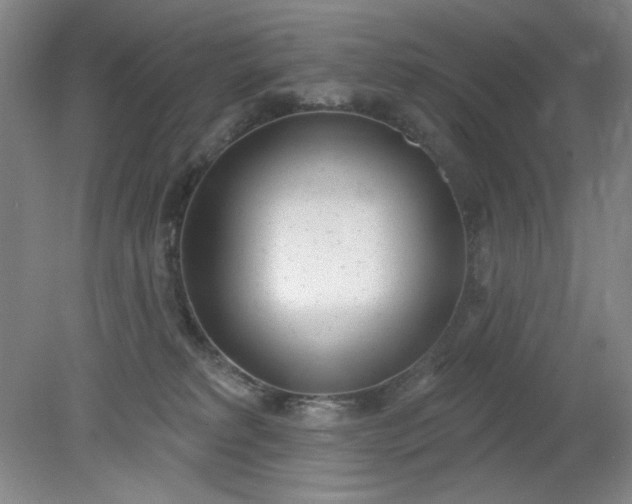 X0000079310229200612011824