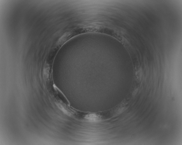 X0000079310231200612011824