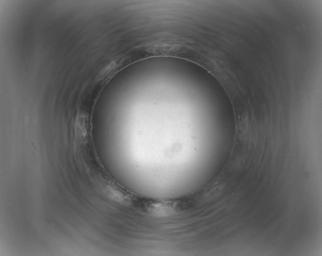 X0000079310232200612011824