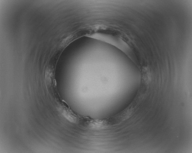 X0000079310235200612011824