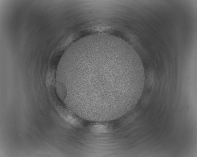 X0000079310236200612011824