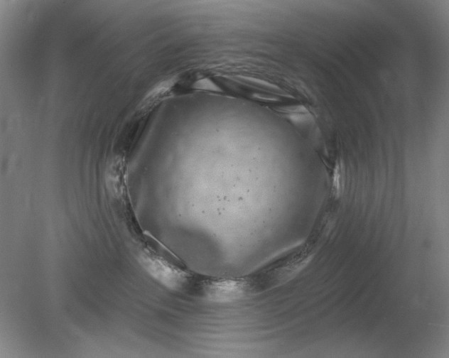 X0000079310237200612011824