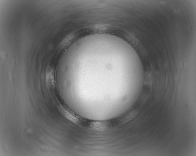 X0000079310238200612011824