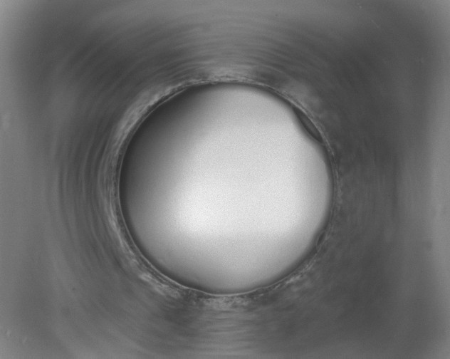 X0000079310241200612011823