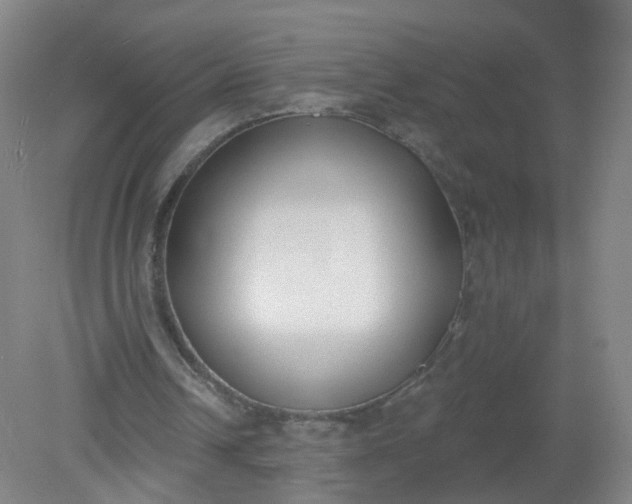 X0000079310242200612011823