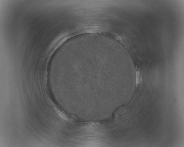 X0000079310243200612011823
