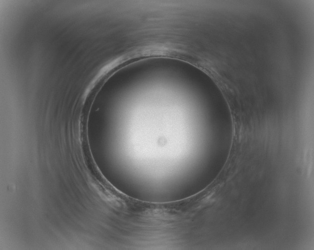 X0000079310244200612011823