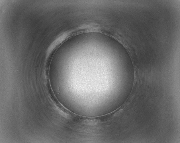 X0000079310245200612011823