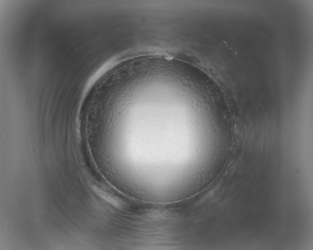 X0000079310246200612011823