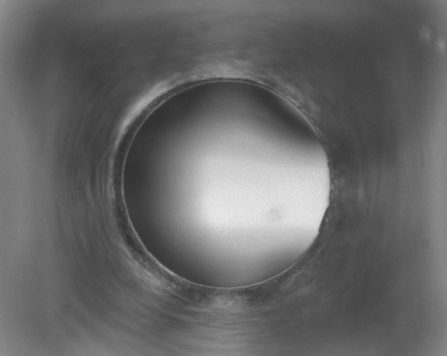 X0000079310248200612011823
