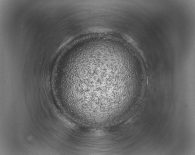 X0000079310249200612011824