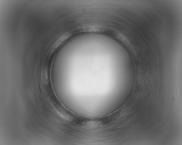 X0000079310251200612011824