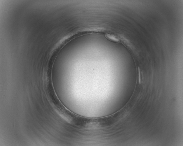 X0000079310252200612011824