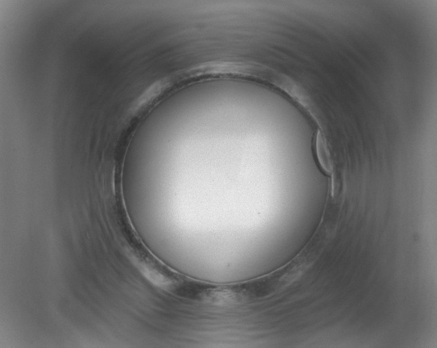 X0000079310253200612011824