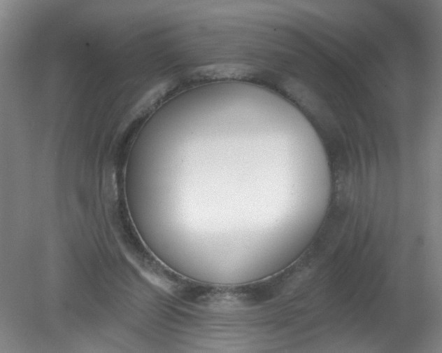 X0000079310254200612011824