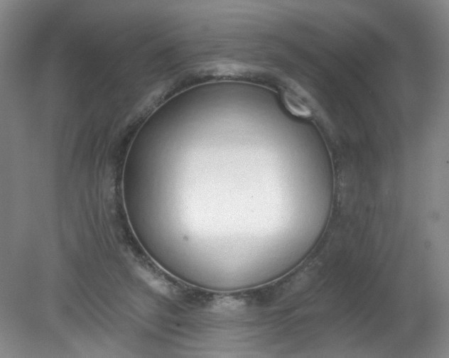 X0000079310257200612011824