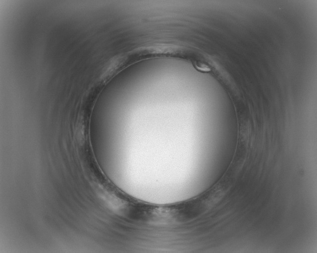 X0000079310261200612011824