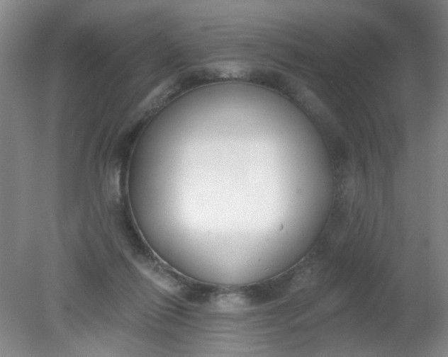 X0000079310262200612011824