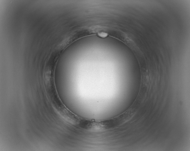 X0000079310263200612011824