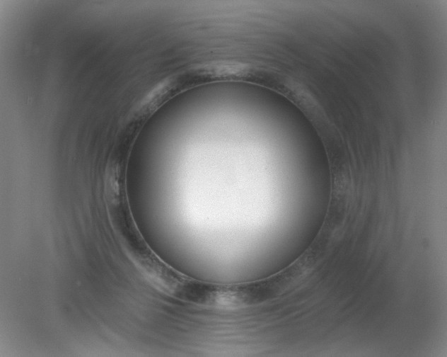 X0000079310264200612011824