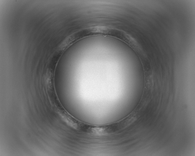 X0000079310265200612011824