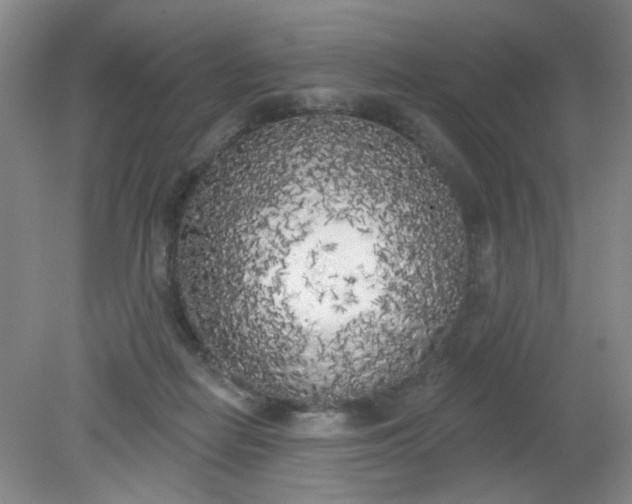 X0000079310266200612011824