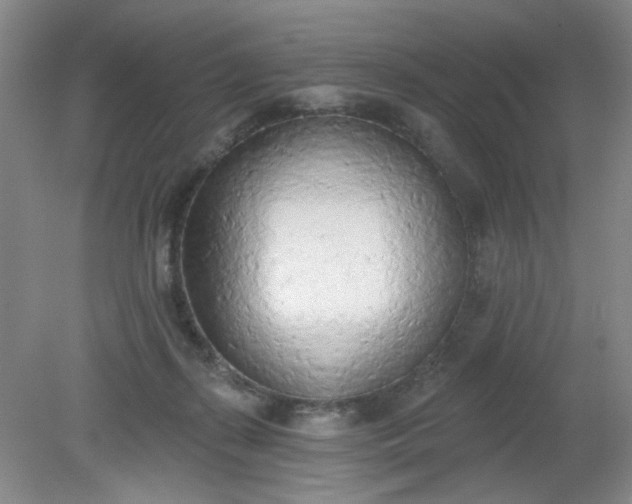 X0000079310267200612011824