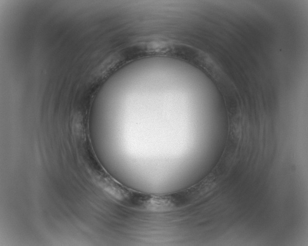 X0000079310270200612011824