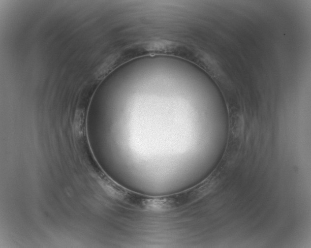 X0000079310273200612011824