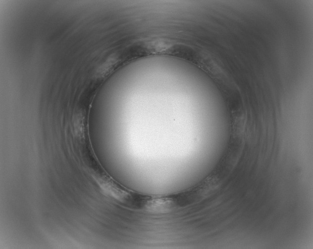 X0000079310274200612011824