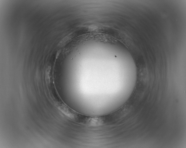 X0000079310275200612011824