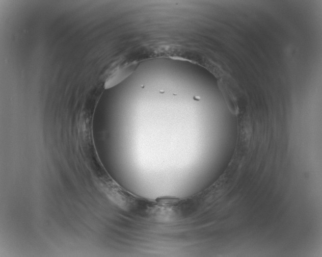X0000079310276200612011824