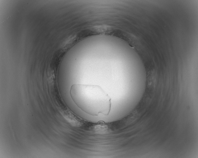 X0000079310279200612011824