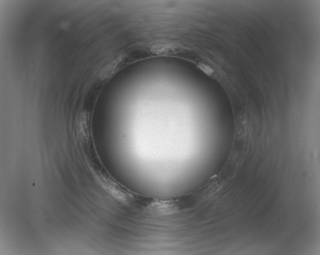X0000079310280200612011824