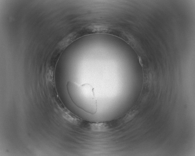 X0000079310281200612011824
