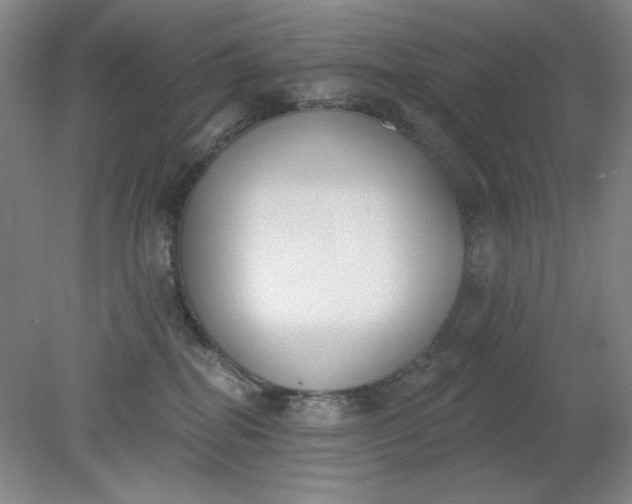 X0000079310282200612011824
