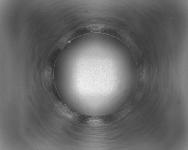 X0000079310283200612011824