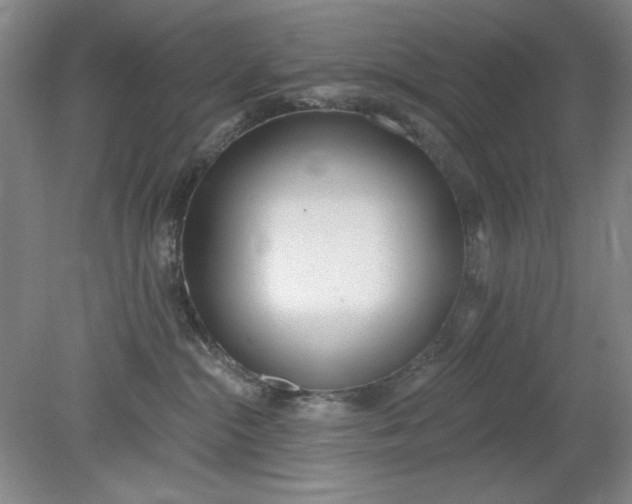 X0000079310284200612011824