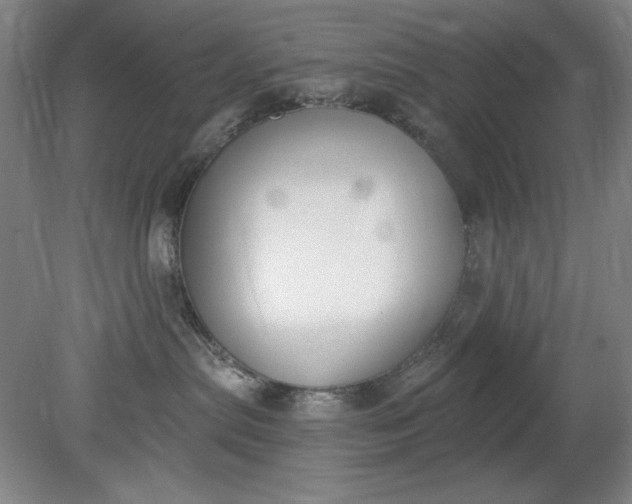 X0000079310287200612011824