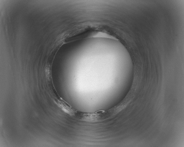 X0000079310288200612011824