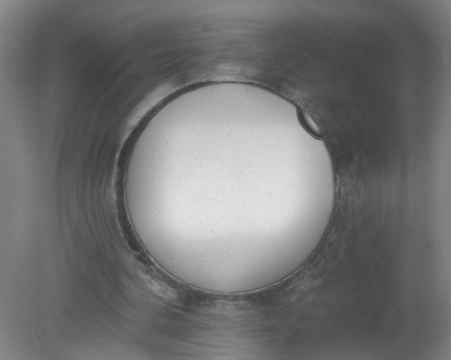 X0000079310292200612011823
