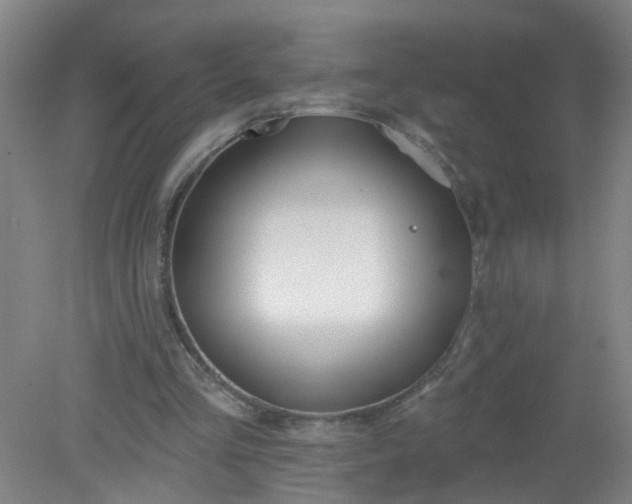 X0000079310293200612011823