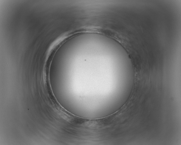 X0000079310294200612011823