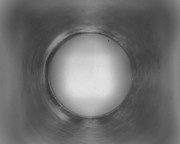 X0000079310296200612011823