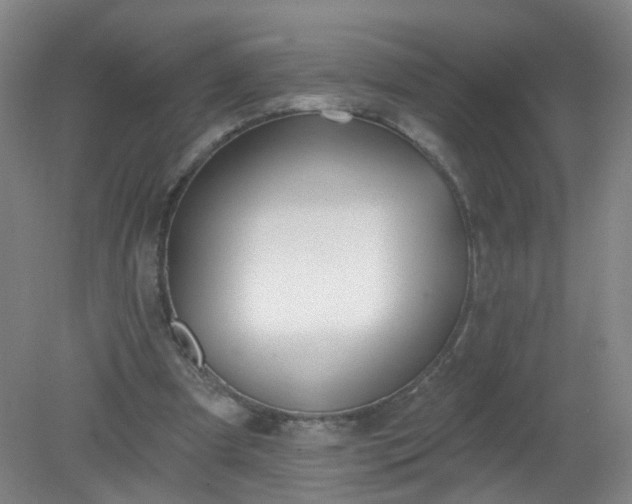 X0000079310297200612011823