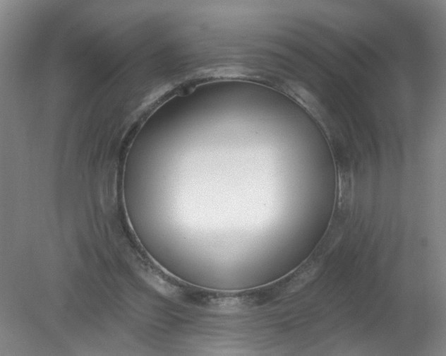 X0000079310301200612011823